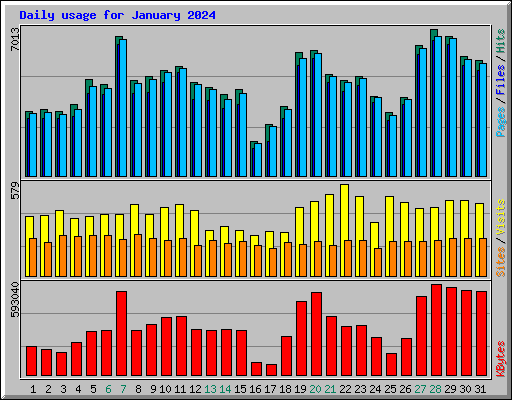 Daily usage for January 2024