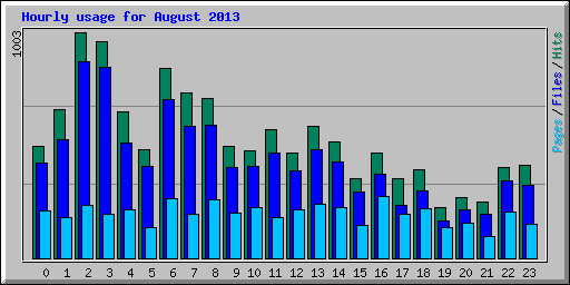 Hourly usage for August 2013