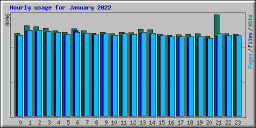 Hourly usage for January 2022