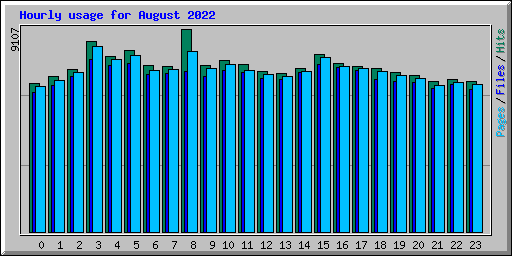 Hourly usage for August 2022