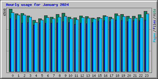 Hourly usage for January 2024