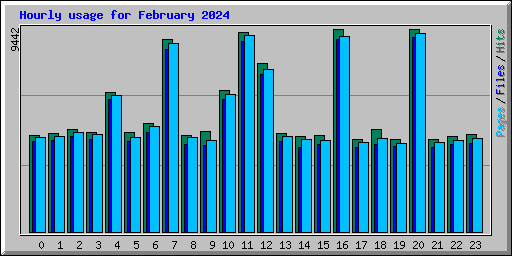 Hourly usage for February 2024