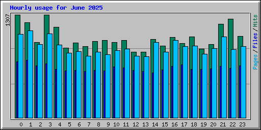 Hourly usage for June 2025